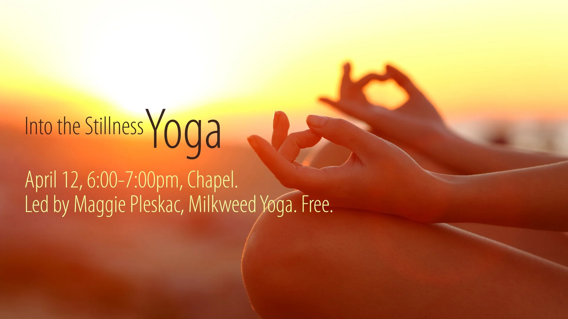 Intothestillness copy.jpg