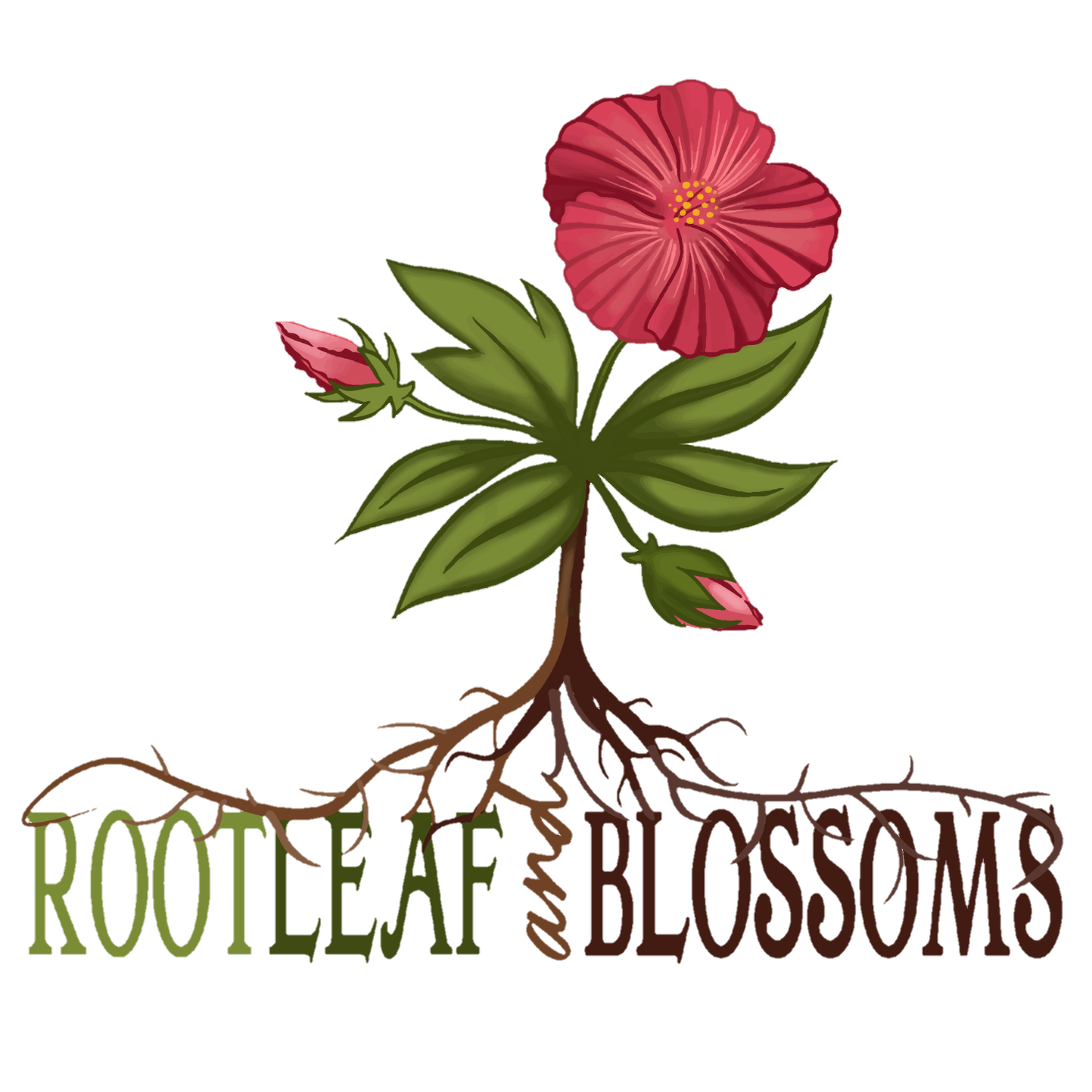 ROOT, LEAF, &amp; BLOSSOMS