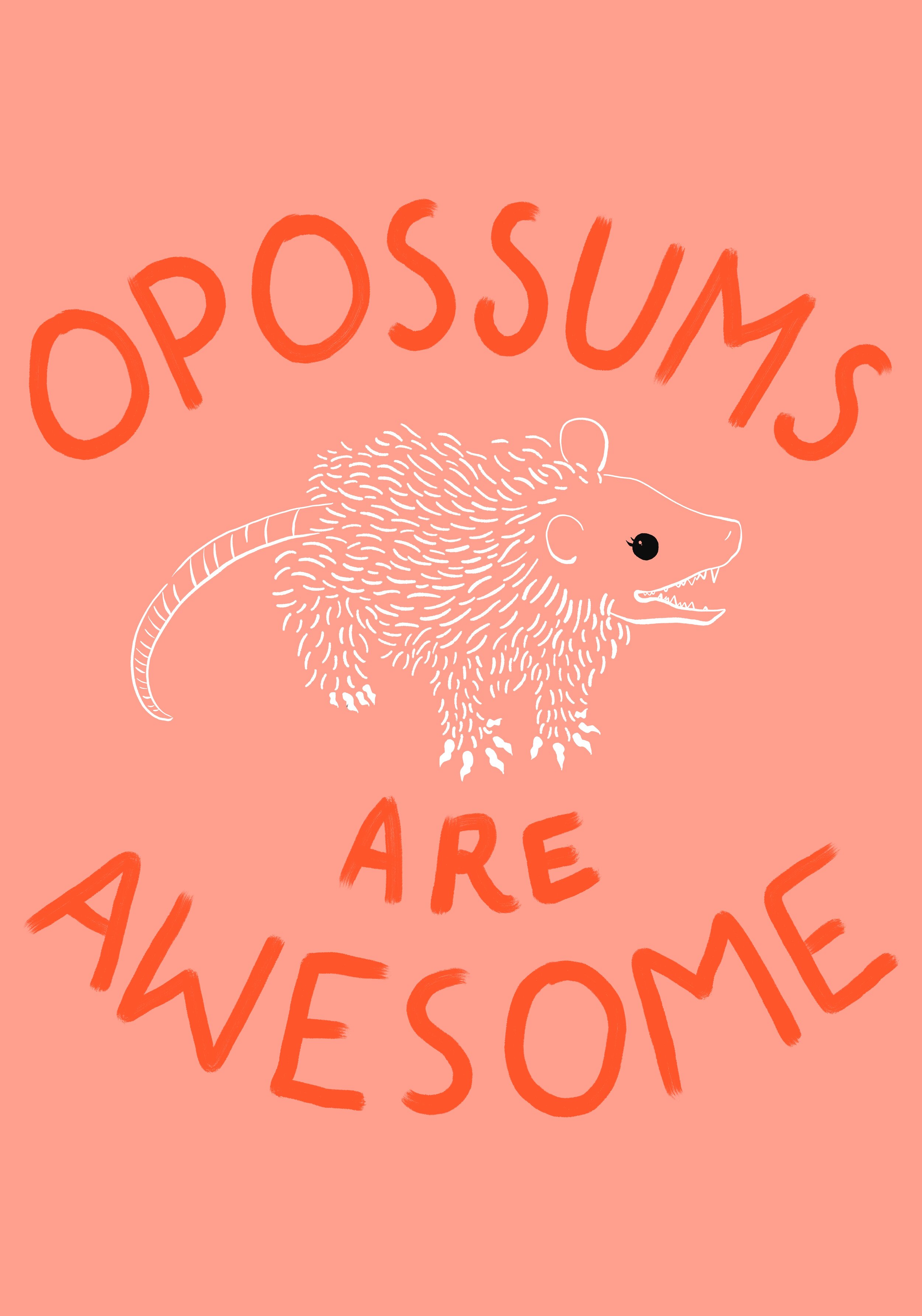 Coralopossums.jpg