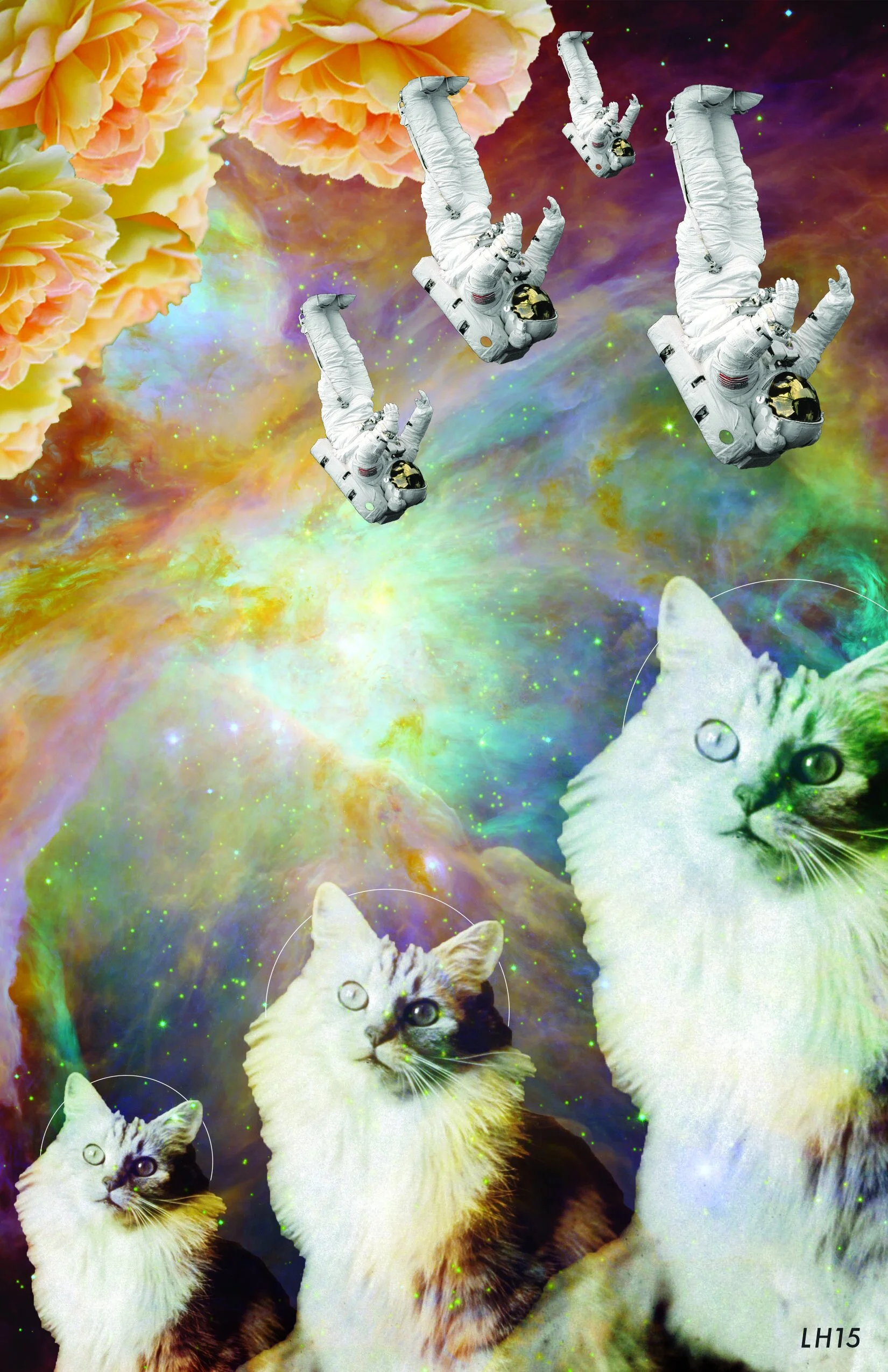 livy-hoskins-spacecollage2.jpg