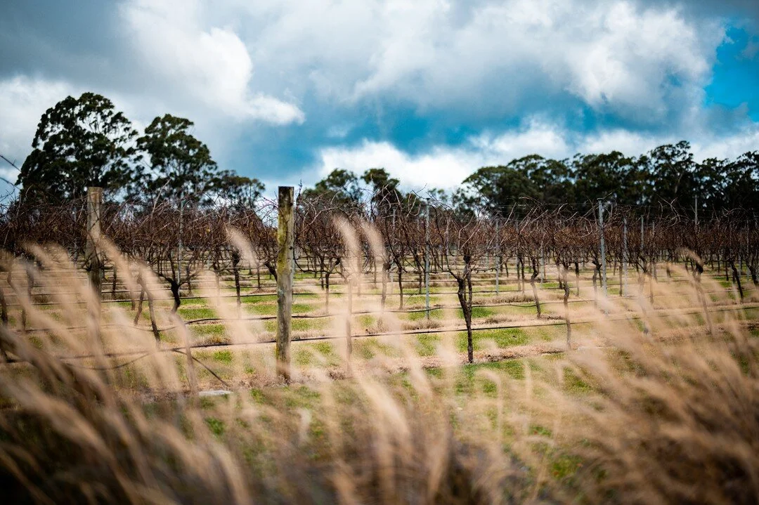 @bendooleyestate , a seriously stylish 200-acre farm, vineyard and wedding and event venue is the childhood home of Paul Berkelouw, of Berkelouw Books fame; it&rsquo;s where Paul&rsquo;s father, Leo, set up the family book business, which actually da