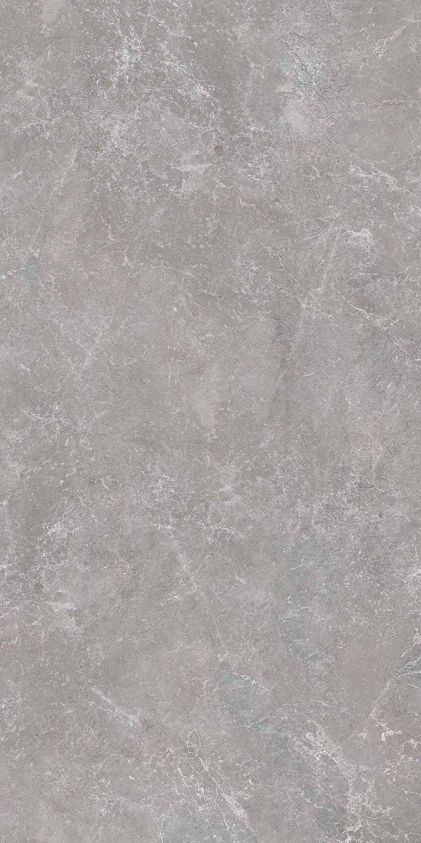 MR-0224-1 Elegant Grey 160x320_1.jpg