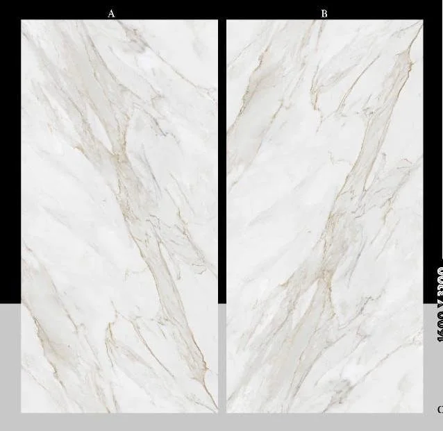 WhatsApp Image 2023-03-05 at 2.03.38 PM.jpeg