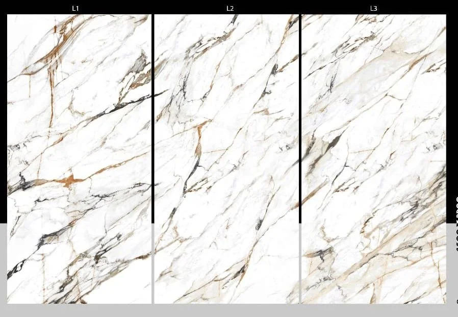 WhatsApp Image 2023-03-05 at 2.03.38 PM (1).jpeg