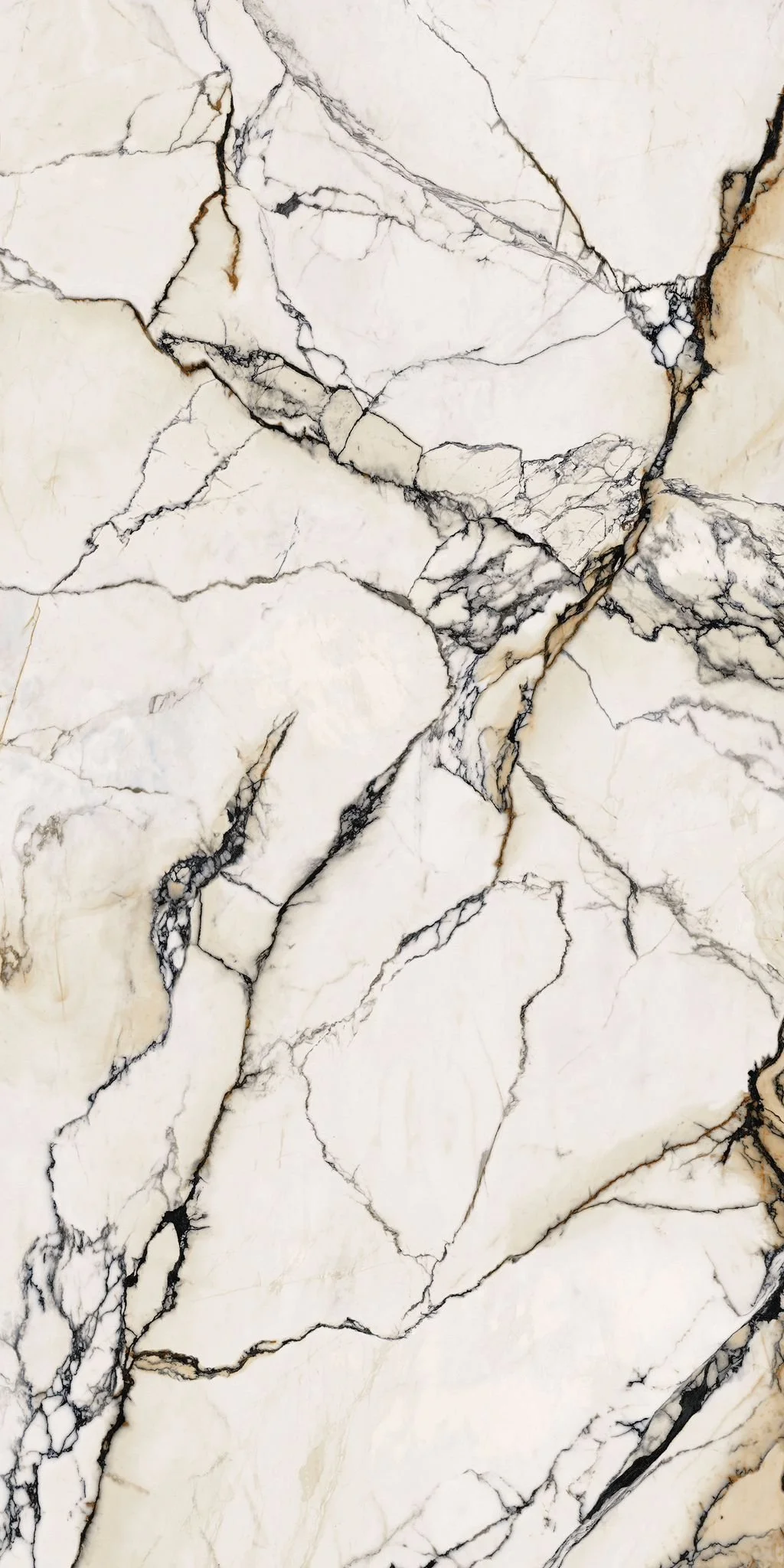 WhatsApp Image 2023-03-02 at 10.20.32 PM.jpeg