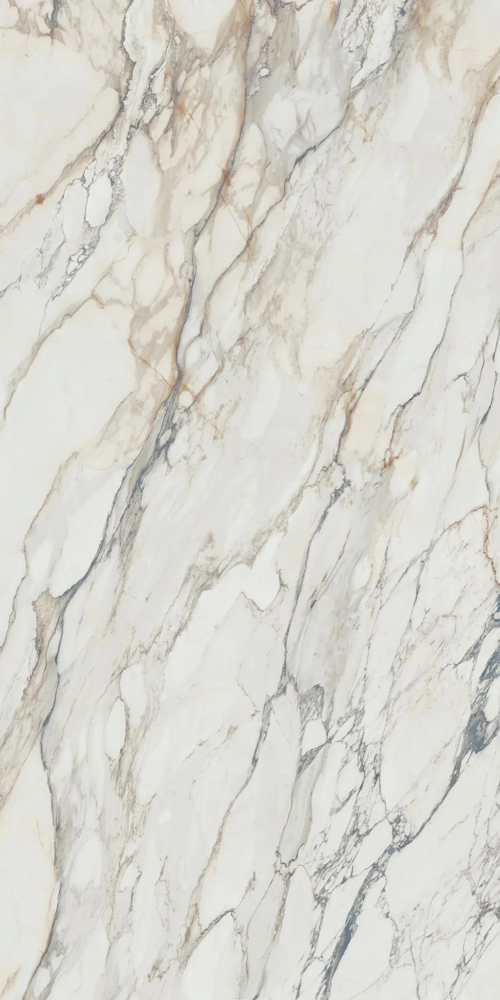 WhatsApp Image 2023-03-02 at 10.20.33 PM.jpeg