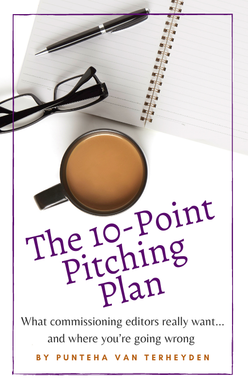 Book cover of The 10-Point Pitching Plan by Punteha van Terheyden