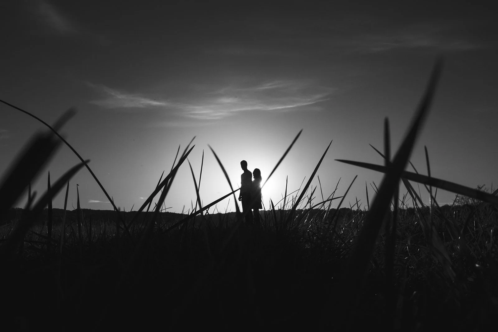 Silhouettes of a man and woman holding hands in a field at sunset, with tall grass in the foreground and the sky illuminated behind.