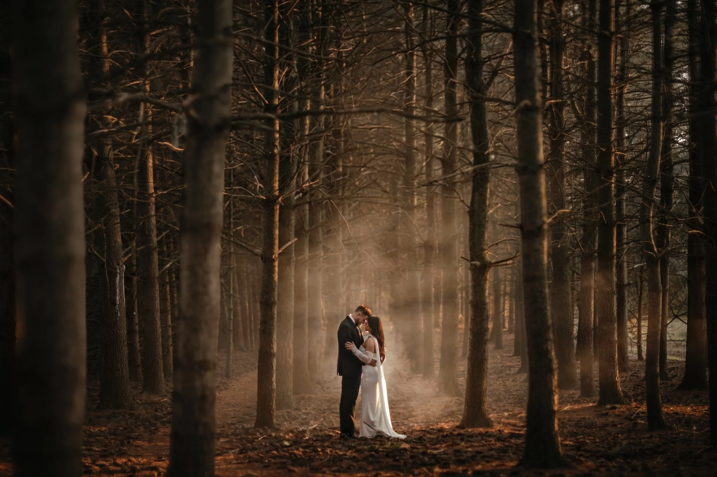 Romantic golden hour wedding portraits at Wyomissing Park, PA, featuring a couple in a scenic meadow at sunset with soft, dreamy lighting near Reading.