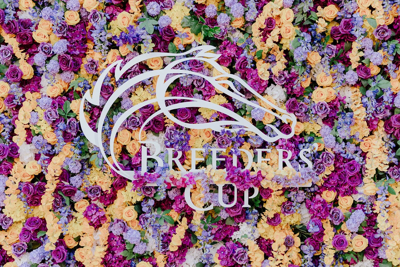 Live painting at the Keeneland Sales Breeders Cup Championship Sale at Del Mar Race Track in San Diego California