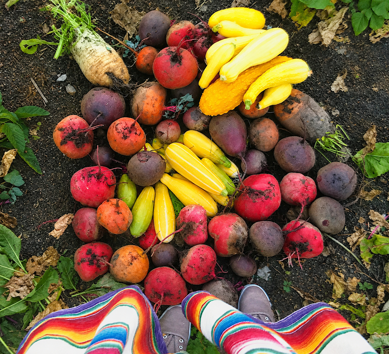 Garden Latkes