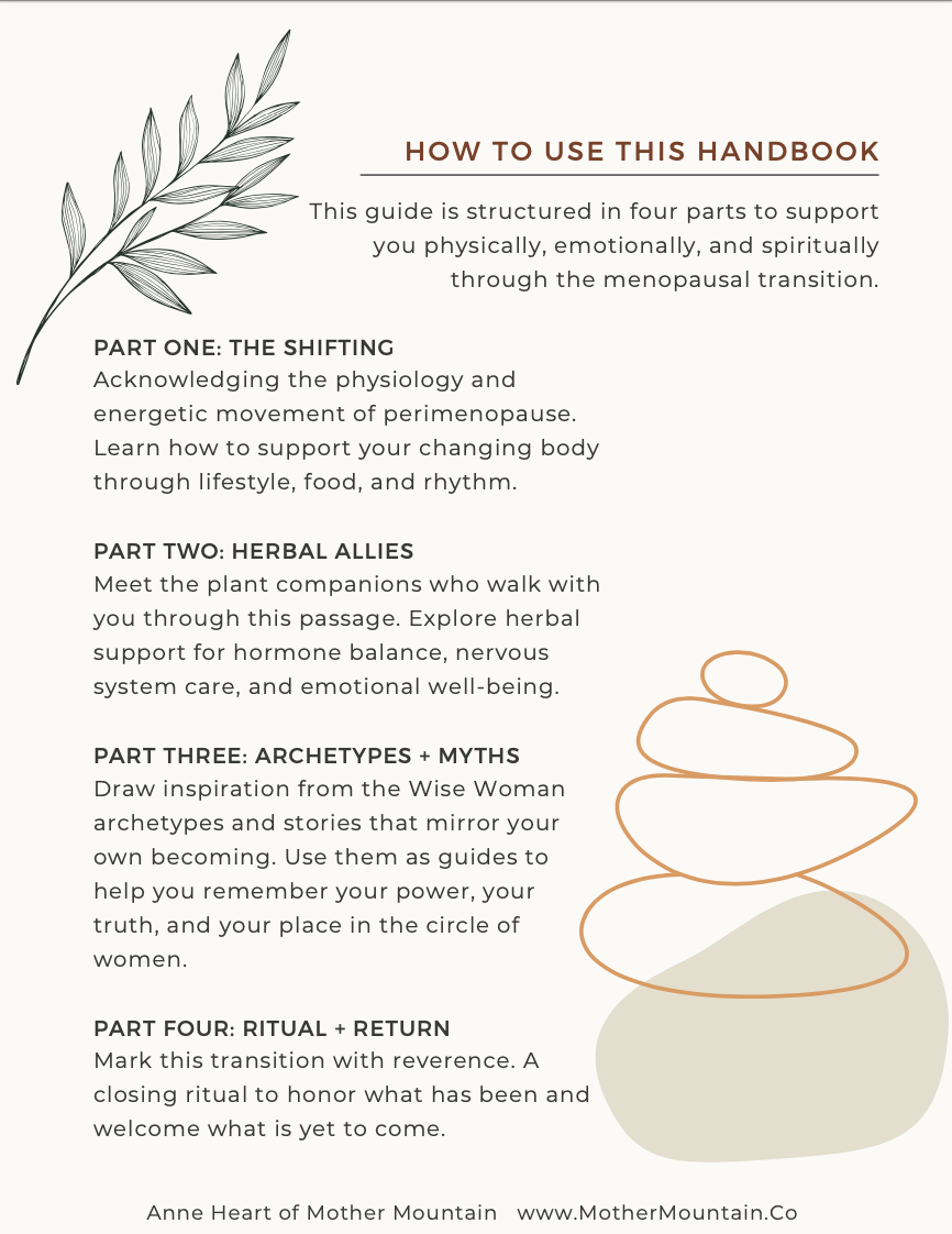 Handbook Outline.png