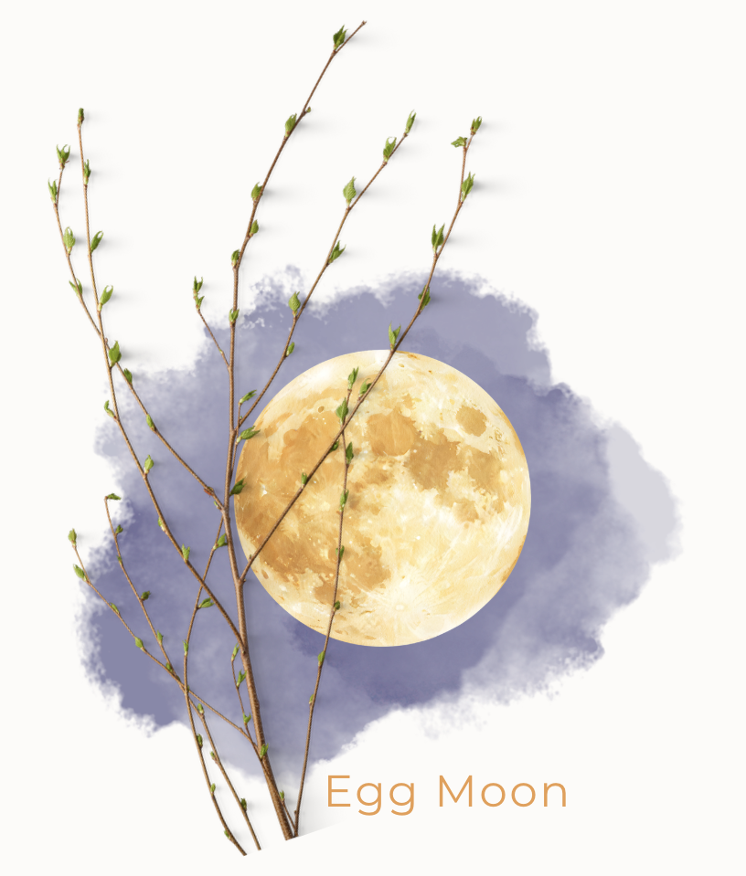 Screenshot 2026-03-30 at 6.33.23 AM.png