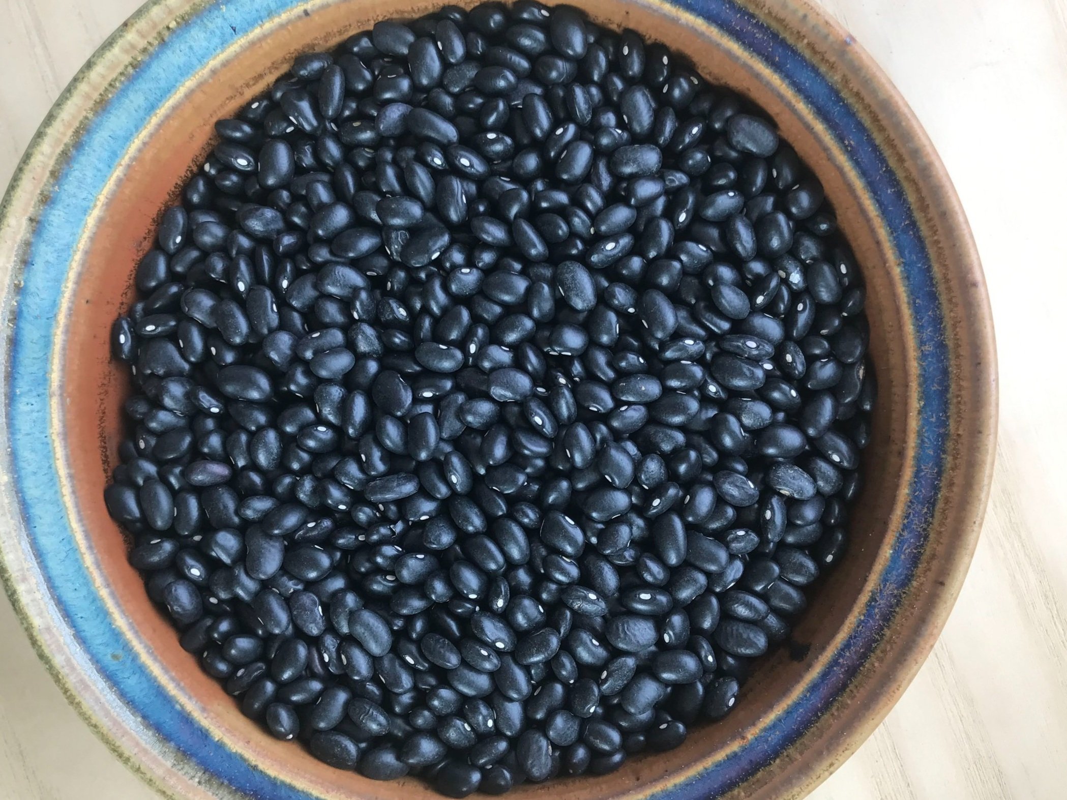 Black Turtle // Classic staple bean with silky, inky broth and full flavor. Firm texture in a compact package holds together nicely in any dish.