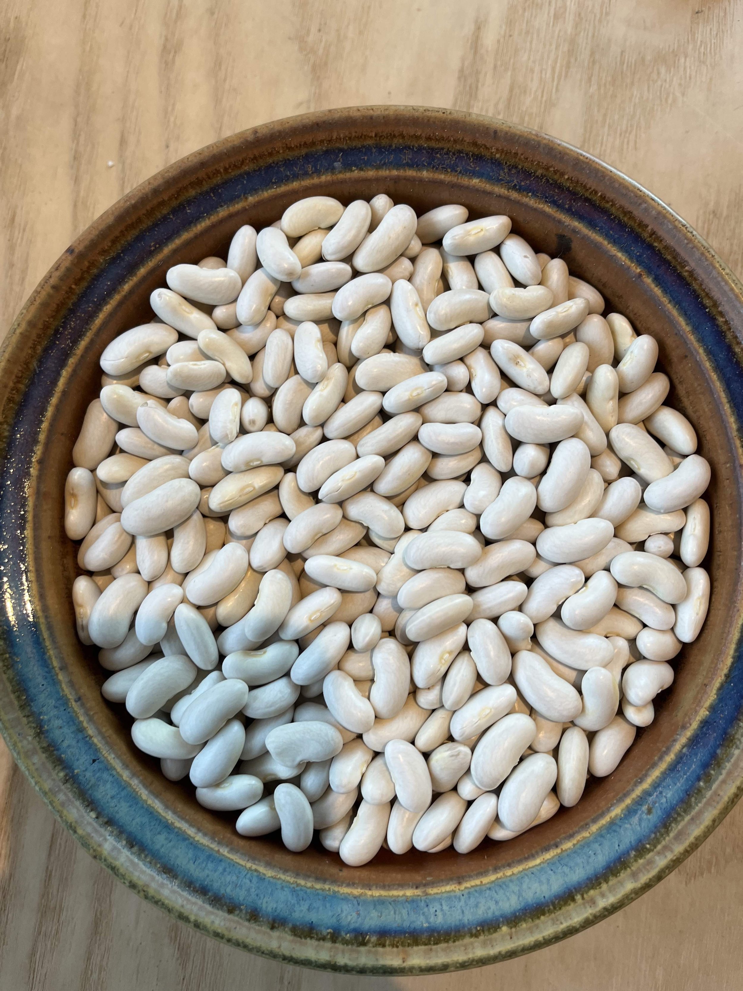 Silver Cloud // An unusual cannellini variety that is particularly large-seeded and shiny. This is one of our biggest beans and is just the thing for all your bold white bean needs. Firm textured, skin thinner than a red kidney but still holds shape