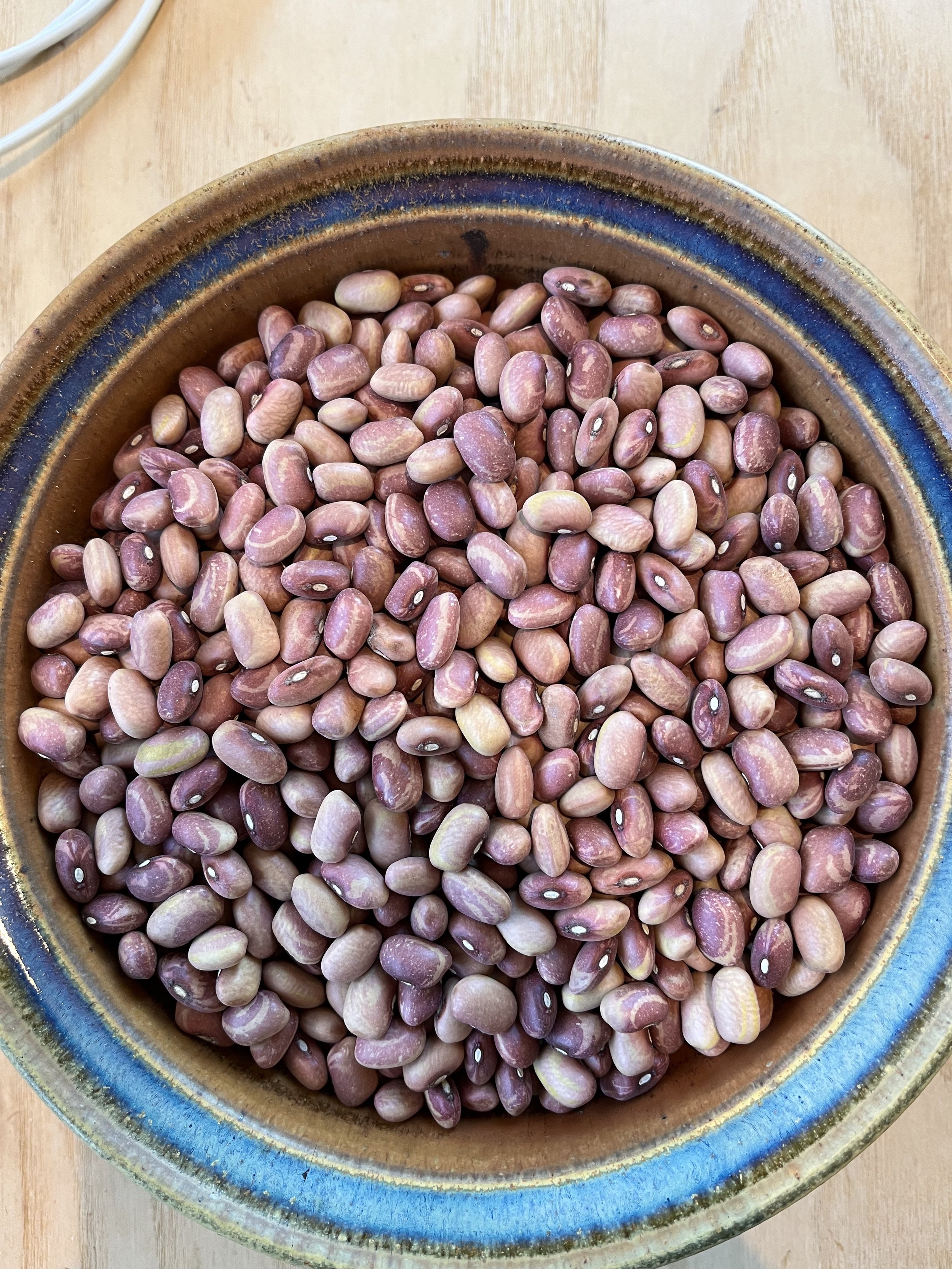 Flor de Junio // A small to medium sized bean popular in Mexican cuisine. Thin skinned, creamy and mild, tendency to melt into dishes when well cooked.