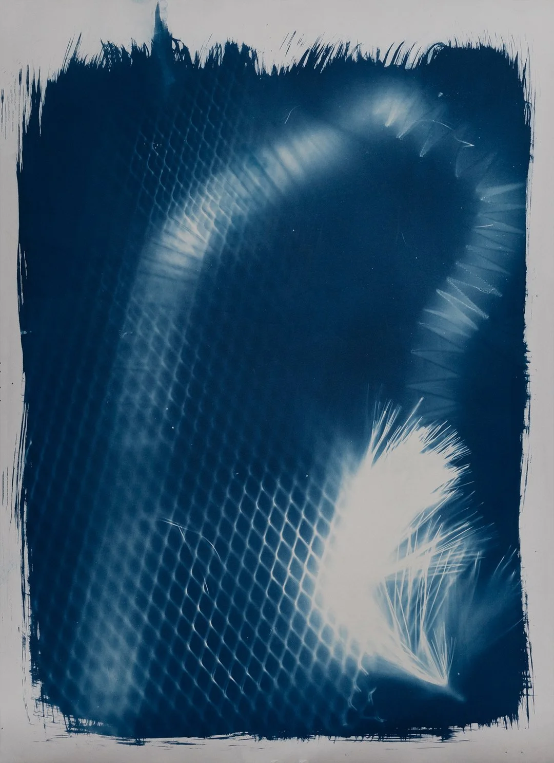 BlackWaterBlue_028.jpg