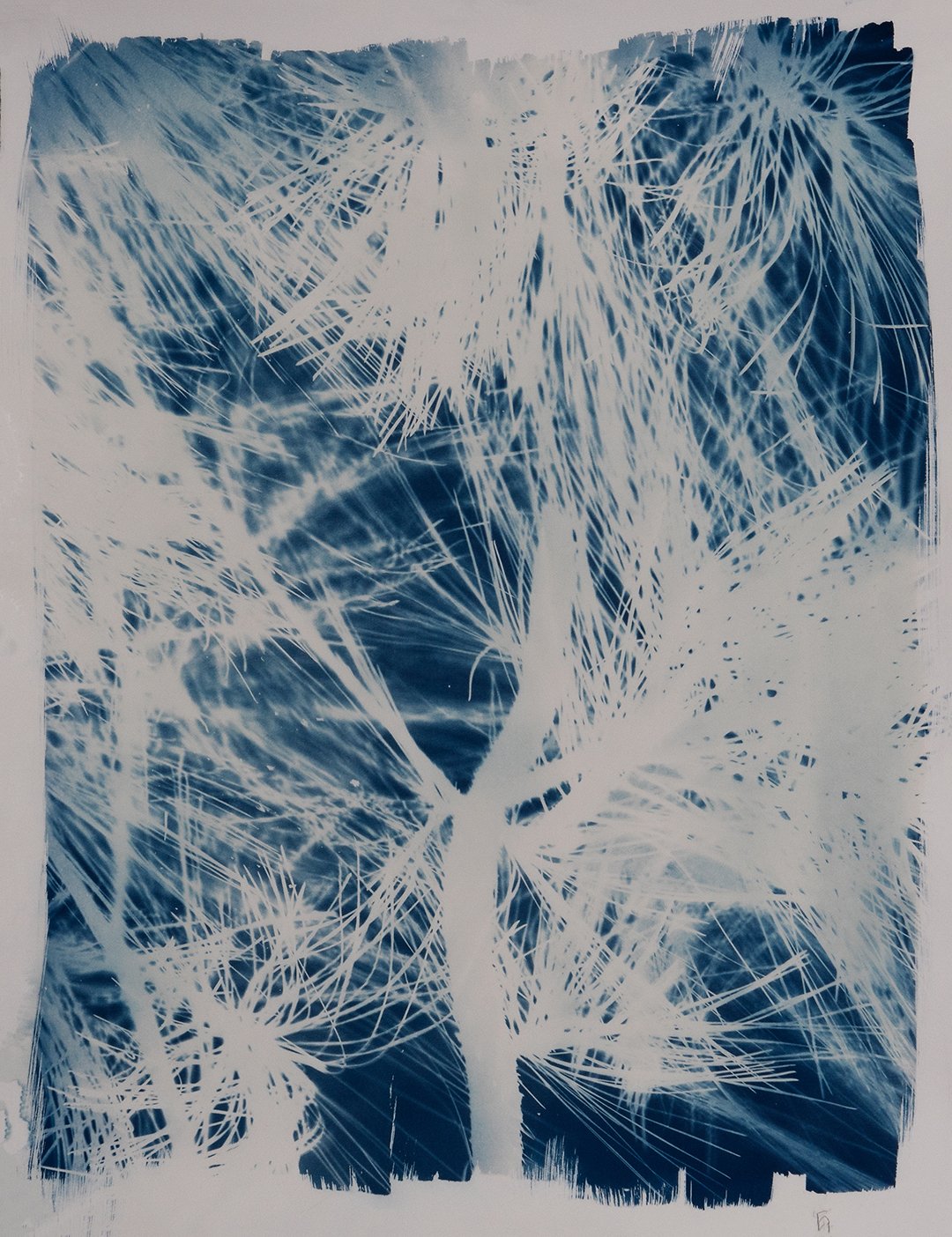BlackWaterBlue_024.jpg