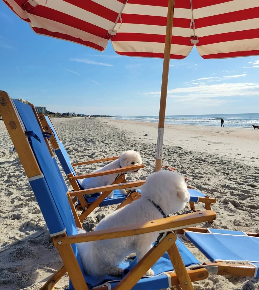 Seaside Chairs And Umbrellas