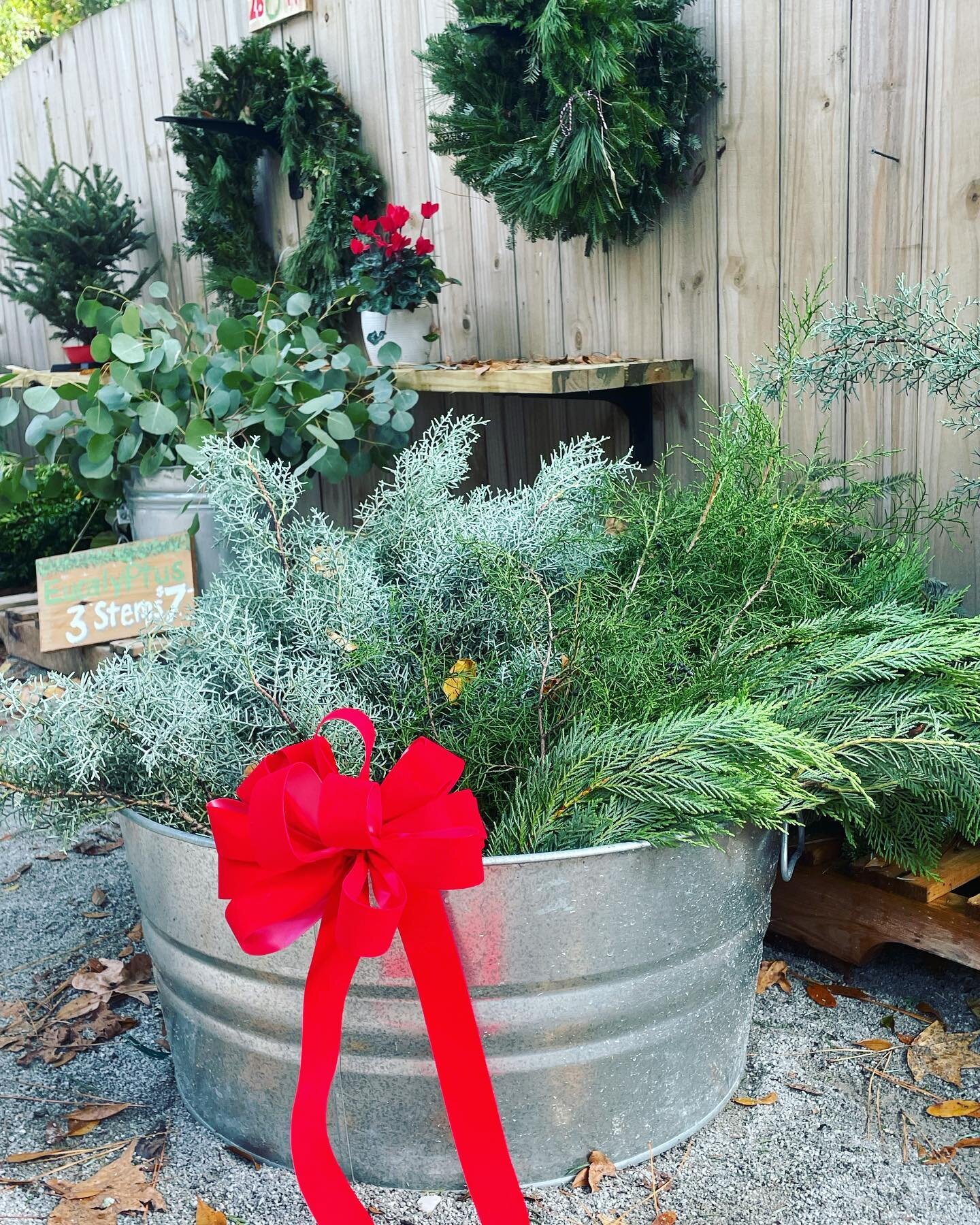Decking the halls! 🎄🎶
.
Cabana Christmas Trees &amp; Holiday Market! Open daily, 9am - 7pm.
.
Fresh cut Fraser Fir trees, greenery, garlands, bows, wreaths, excellent service and more.
.
We love being a part of your holiday traditions!

💚❤️💚