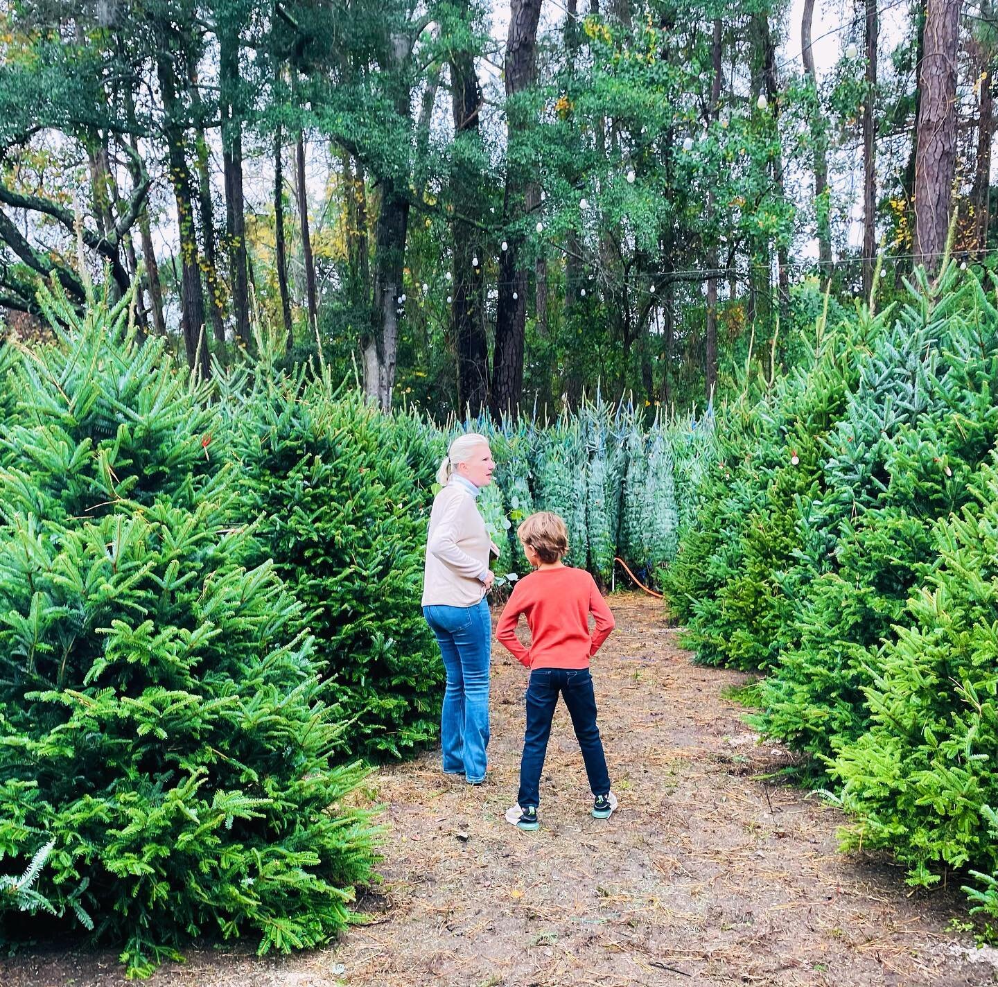 It&rsquo;s the perfect day to get all Christmassy! 🎄
.
Cabana Christmas Trees &amp; Holiday Market. Open daily, 9am - 7pm.

Hometown Christmas!

💚❤️💚