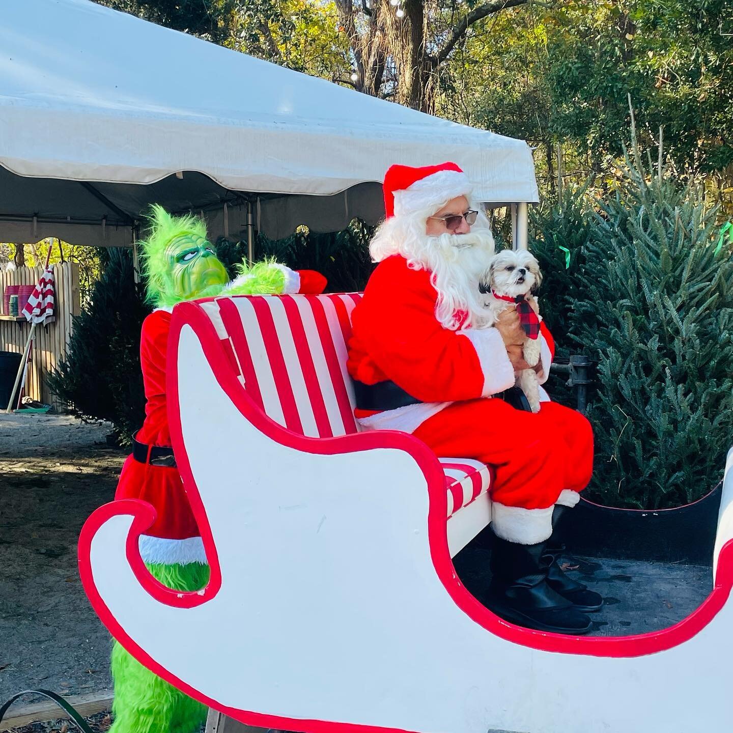 Come out on this beautiful December day, select your Christmas tree and join in the fun with All 4 Paws Animal Rescue &lsquo;til 3pm! 
.
Cabana Christmas Trees and Holiday Market, open daily 9am - 7pm!

🎄🎅🏽🐾🎄