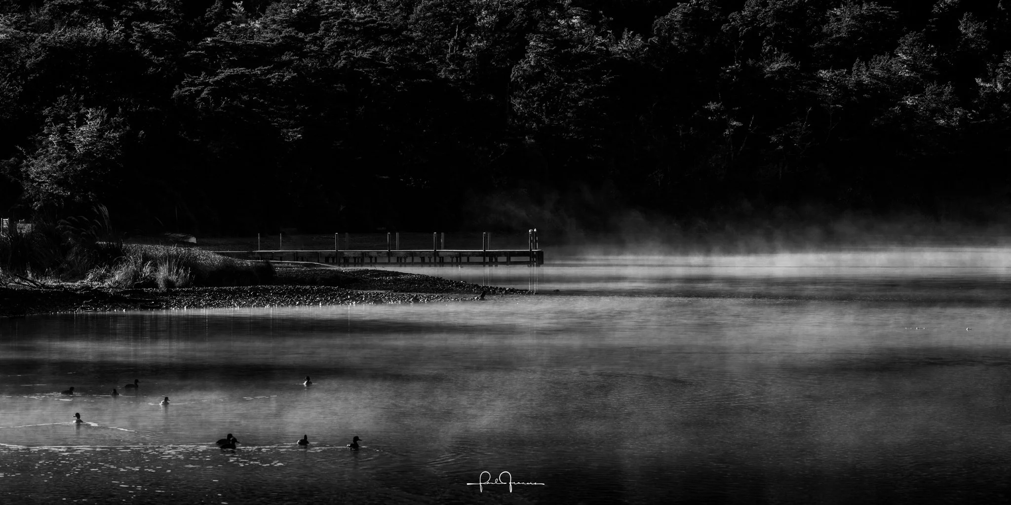Lake Rotoiti-1.jpg