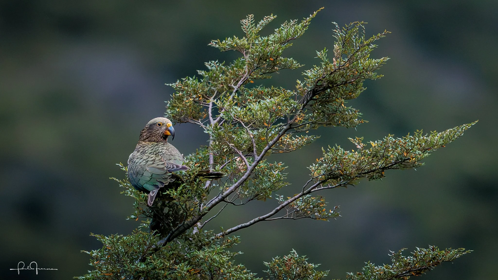 20260308-3349 x 1884-KEA_.jpg