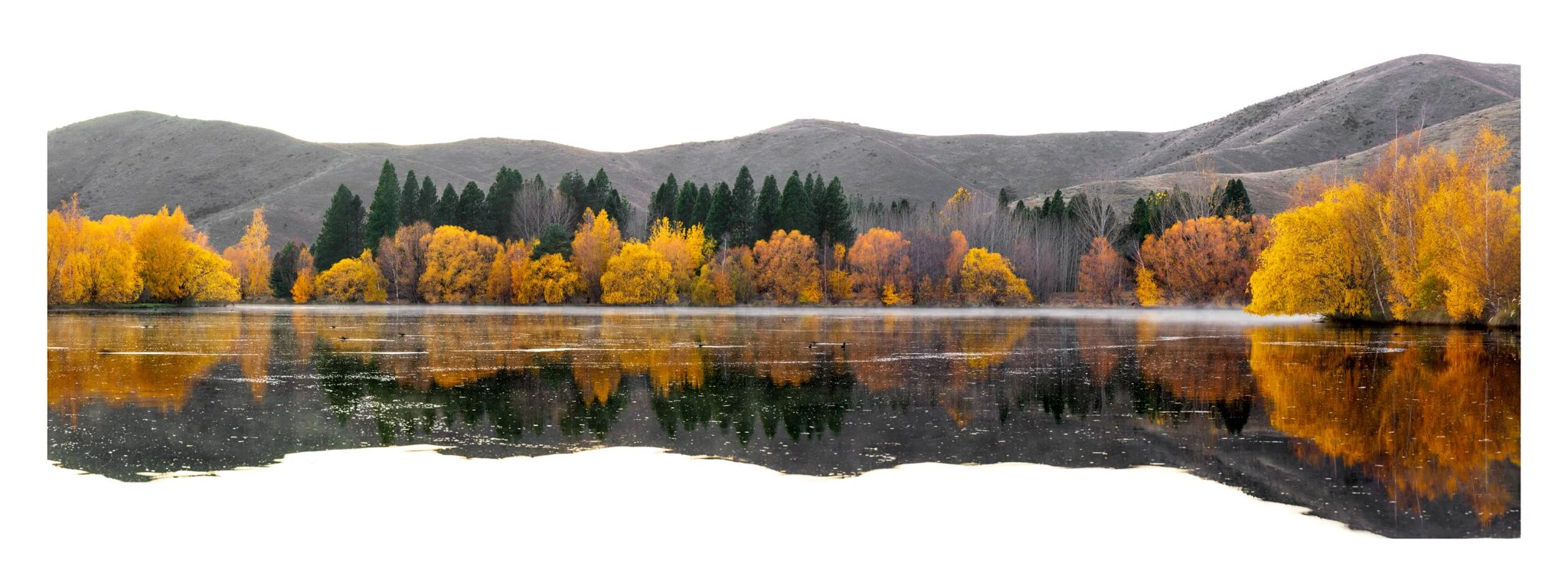 20250511-16591 x 6197-Twizel.jpg