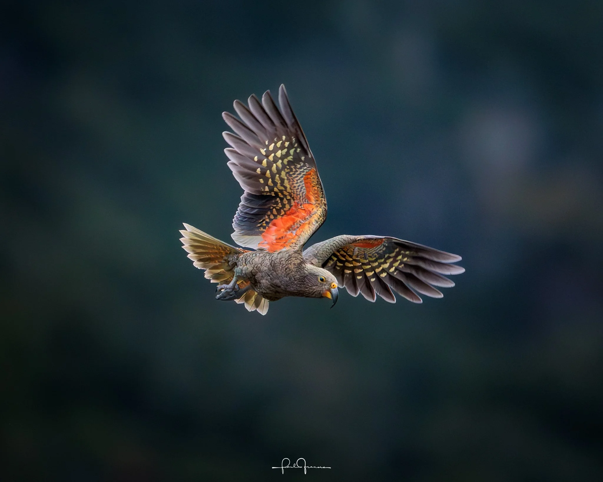 20260308-3053 x 2443-KEA_.jpg