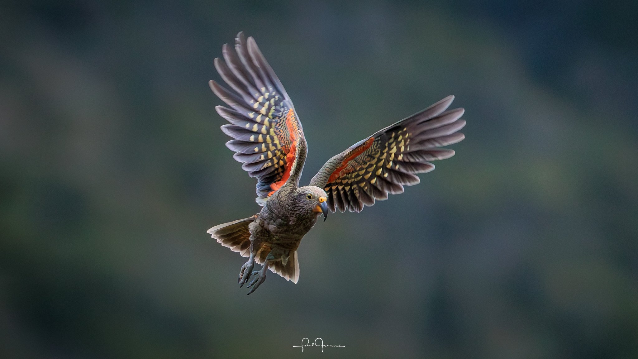 20260308-3206 x 1803-KEA_.jpg