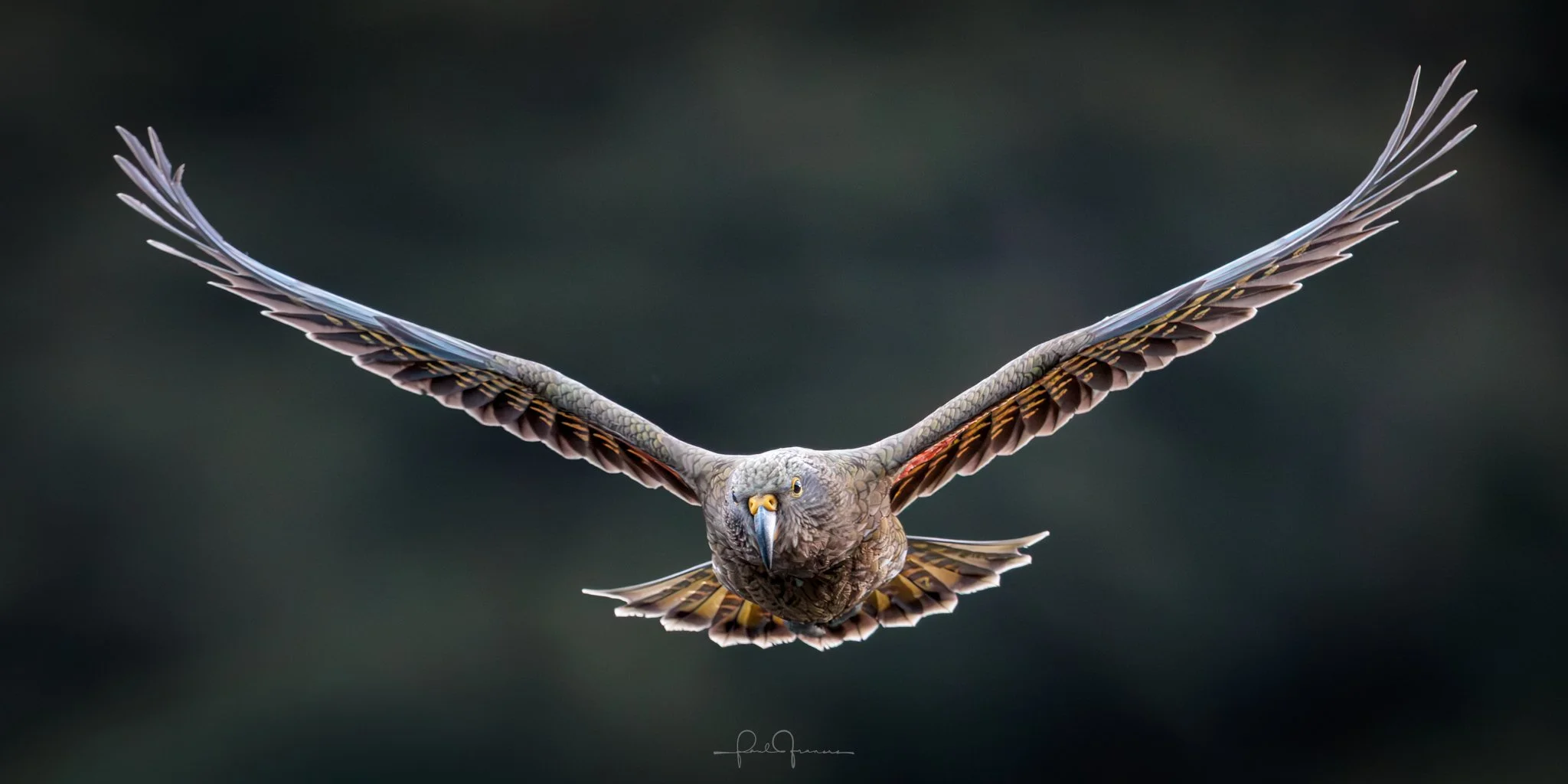 20260314-4963 x 2481-KEA_.jpg