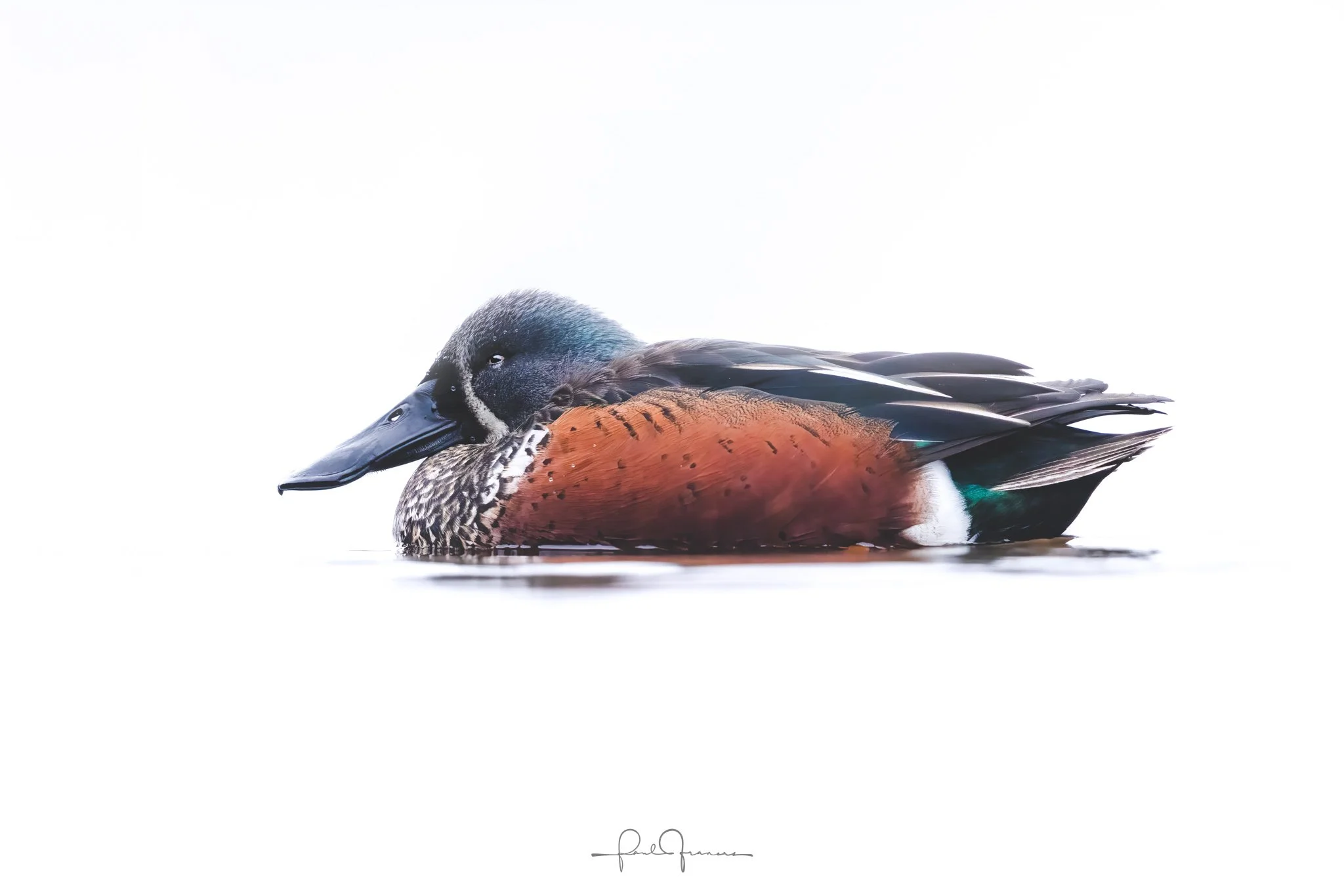 20240520_5278 x 3520_Top20 of 25.jpg