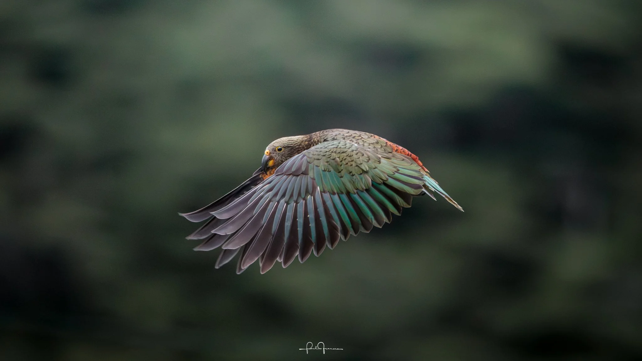 20260308-3931 x 2211-KEA 9.jpg