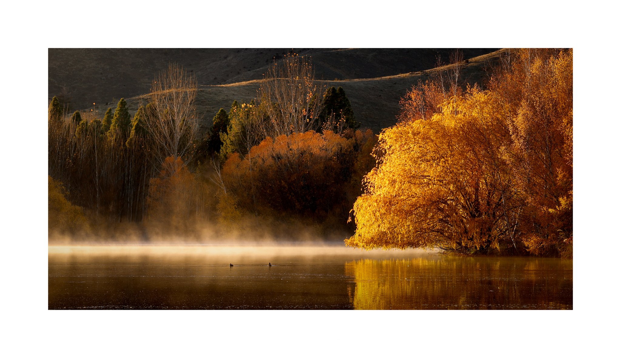 20250511-5163 x 2981-Twizel.jpg