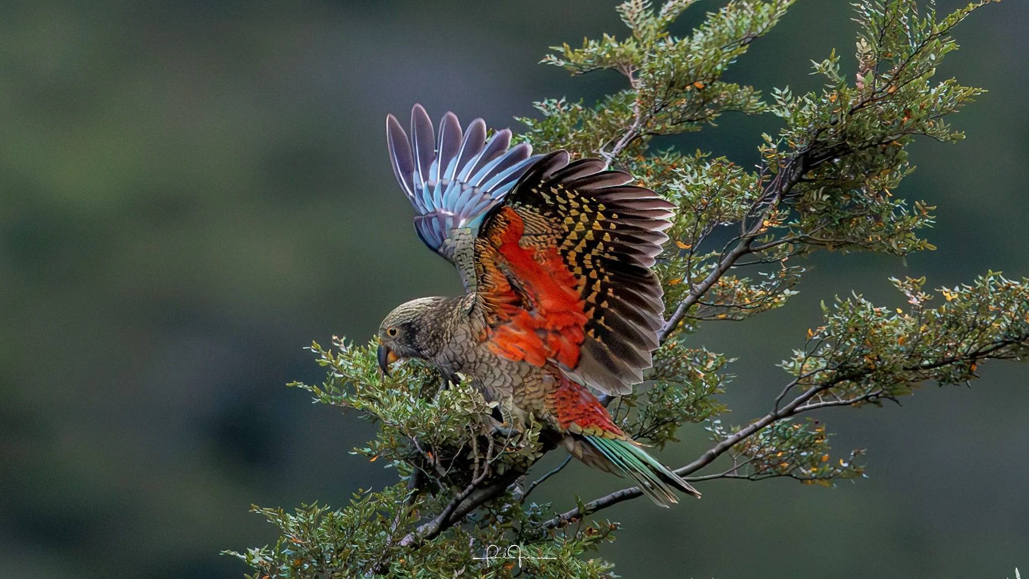 20260308-2799 x 1574-KEA_.jpg