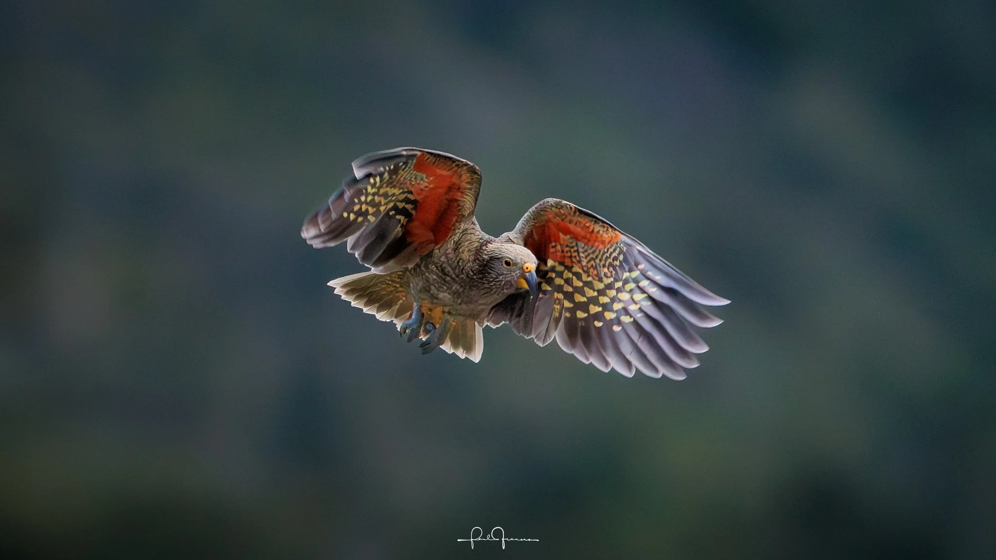 20260308-3080 x 1732-KEA_.jpg