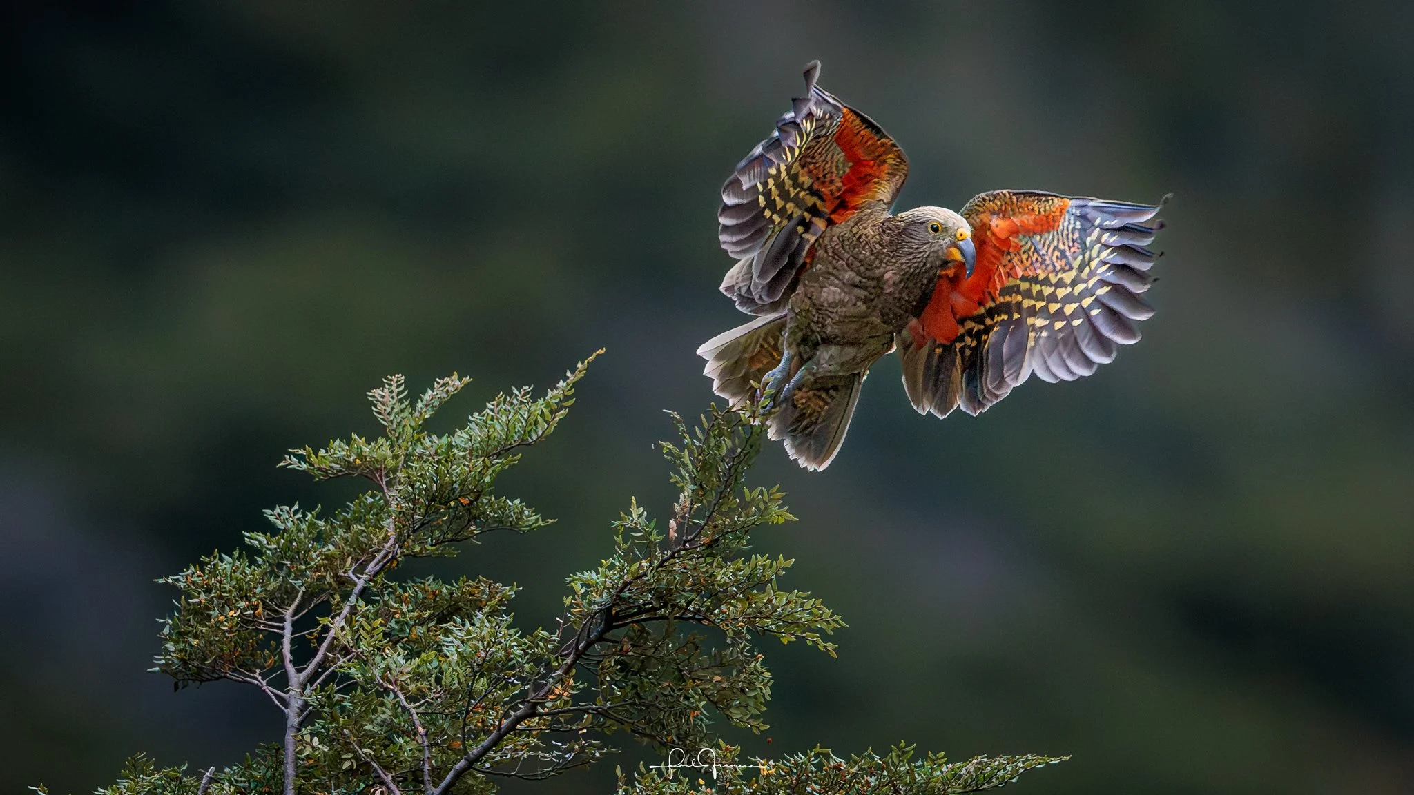 20260308-3349 x 1884-KEA_-2.jpg