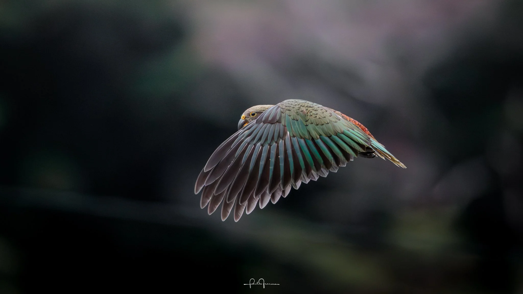 20260308-3931 x 2211-KEA 2.jpg