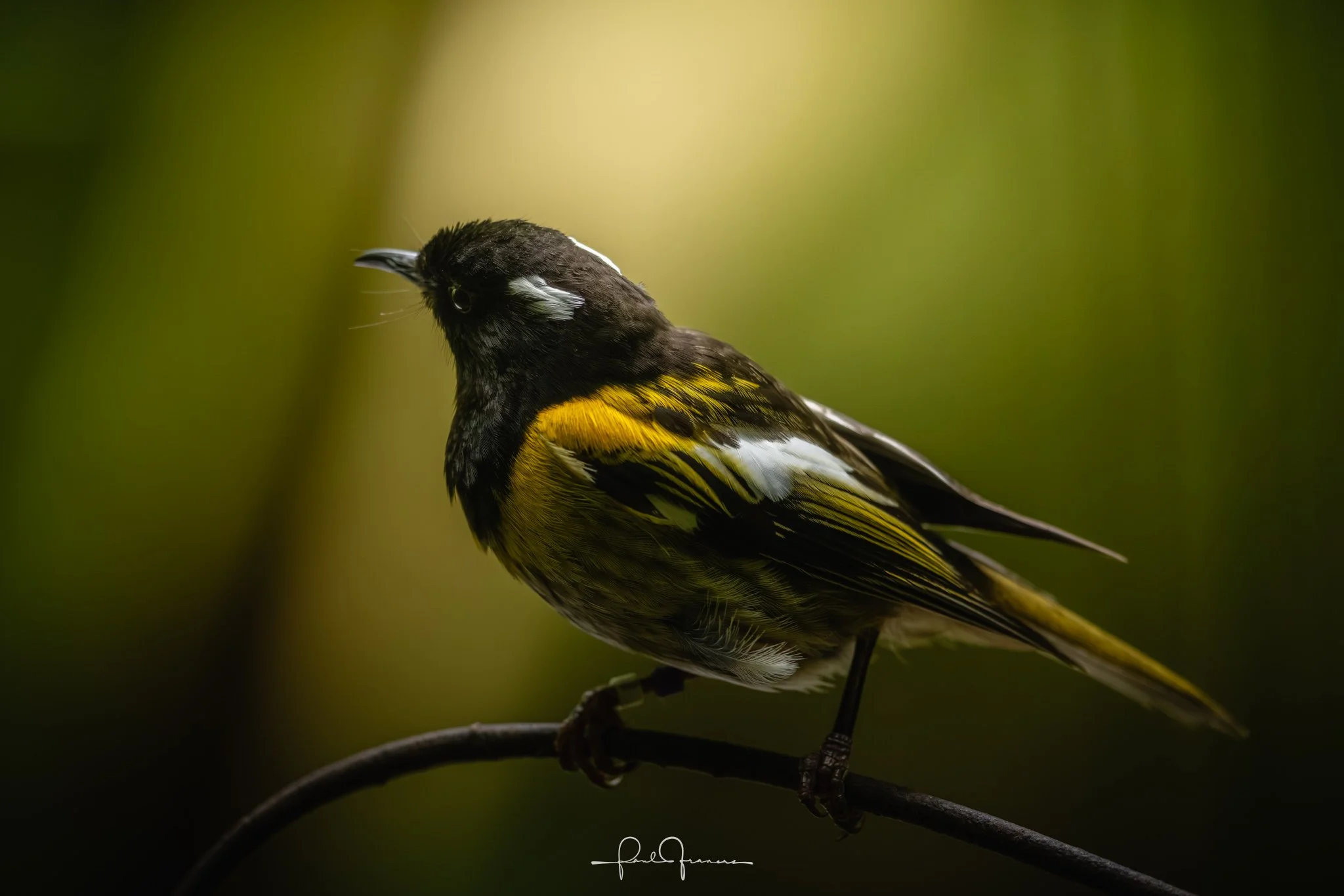 20251123_6711 x 4476_Top20 of 25.jpg