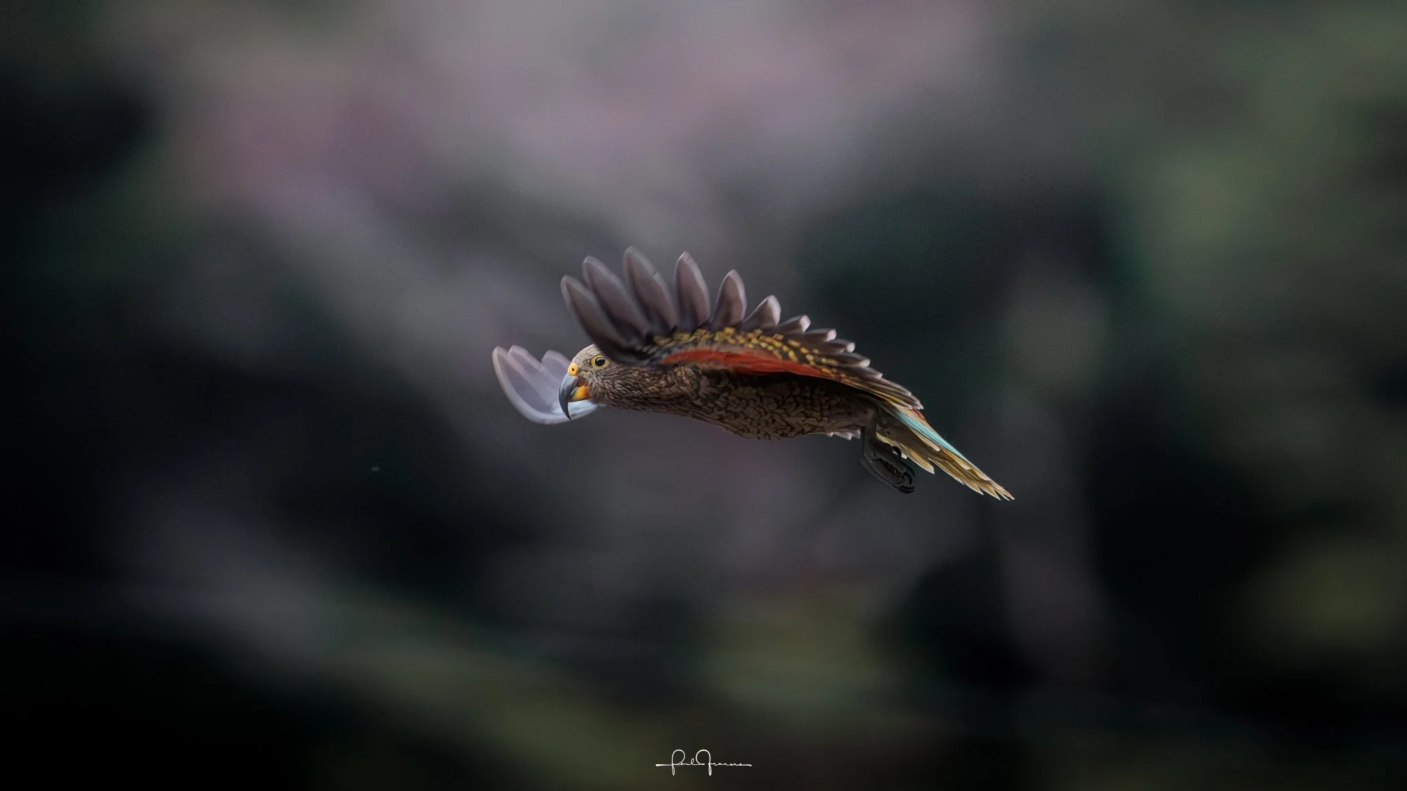 20260308-3931 x 2211-KEA 3.jpg