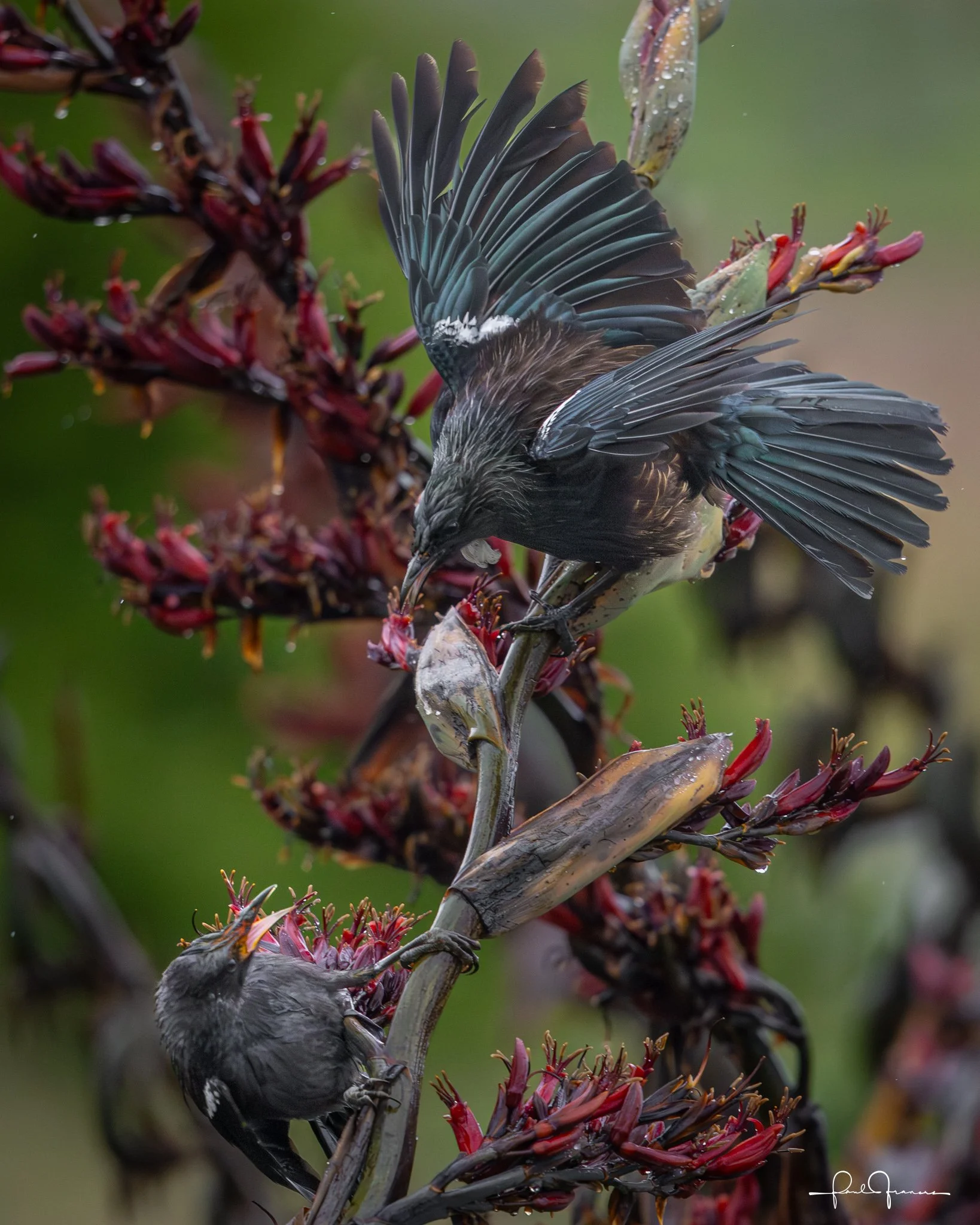 20260110-2987 x 3733-TheHighGround.jpg