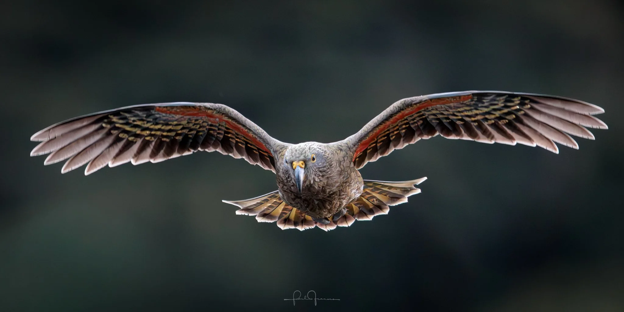 20260314-4467 x 2234-KEA_.jpg