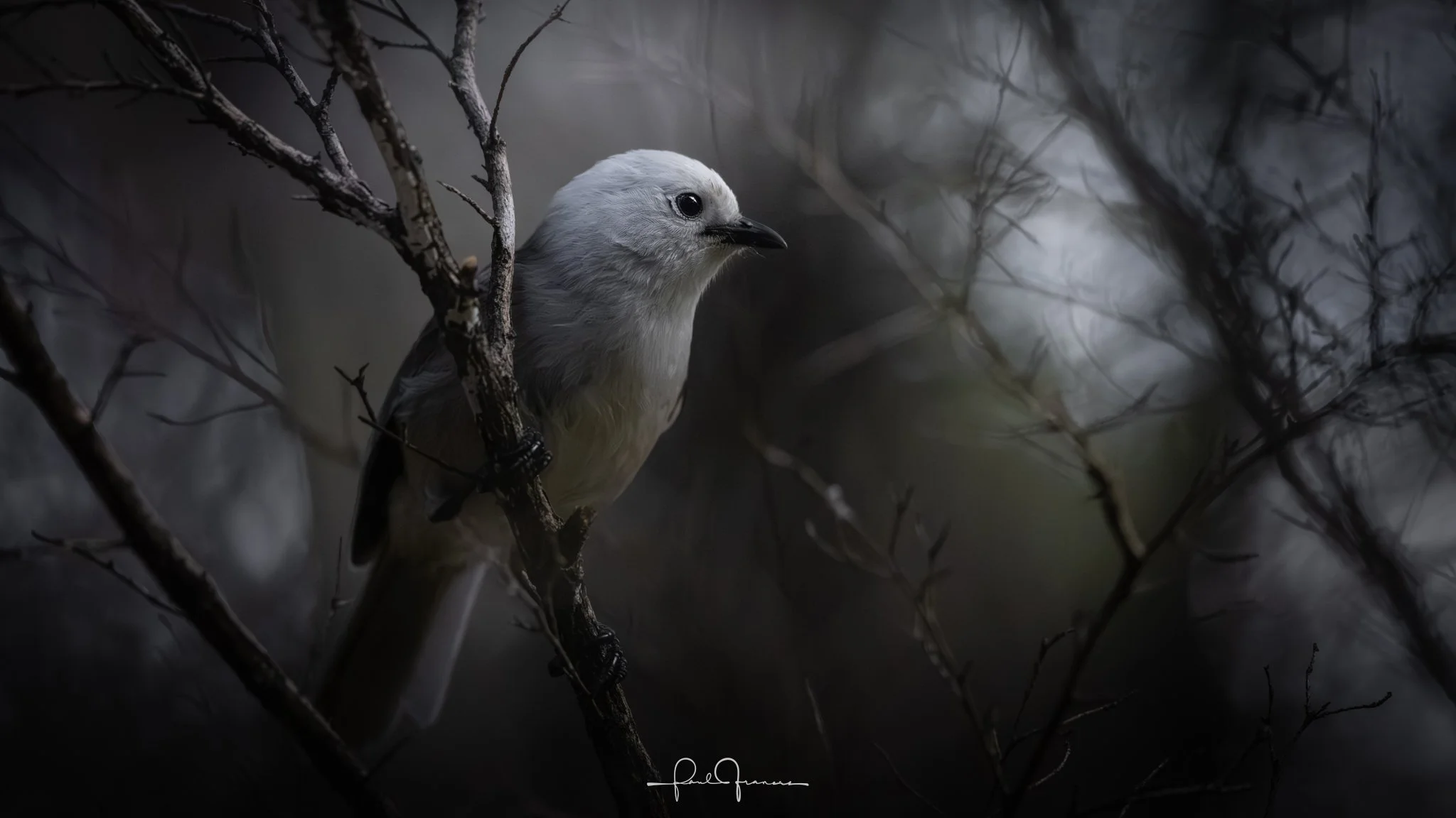 20251120_6573 x 3697_Top20 of 25.jpg