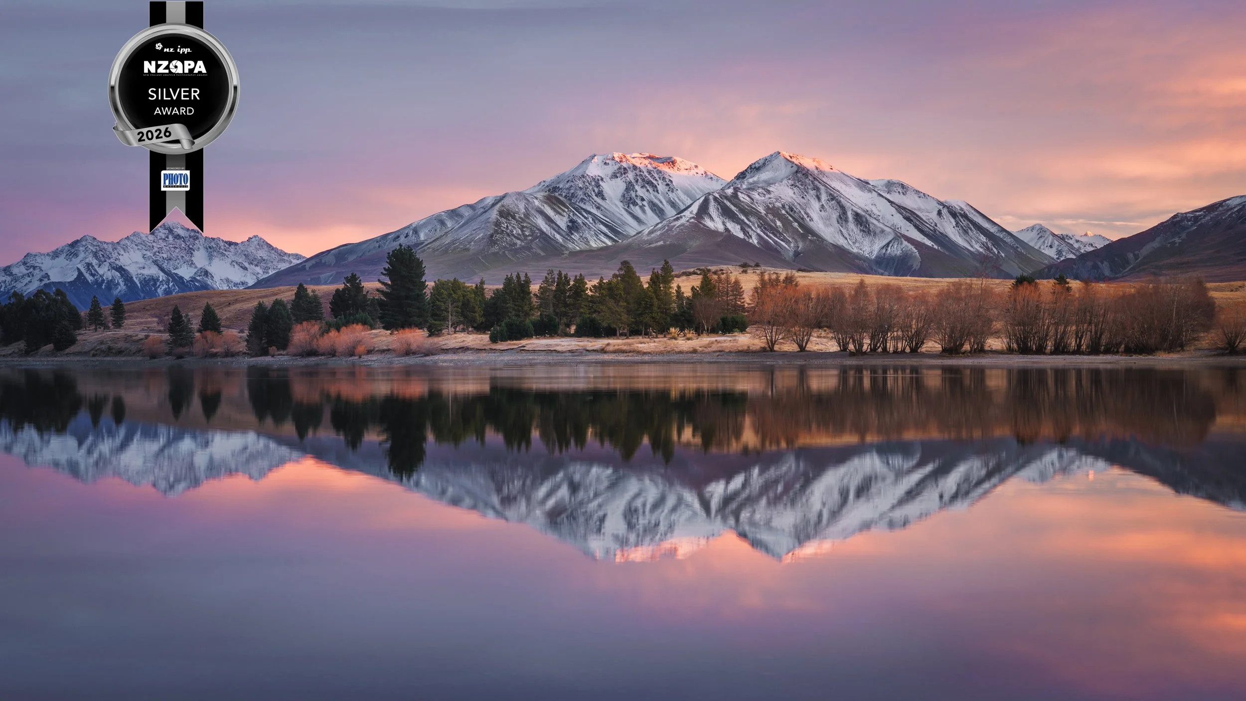 20260618-8156 x 4588-Wanaka Tree1.jpg
