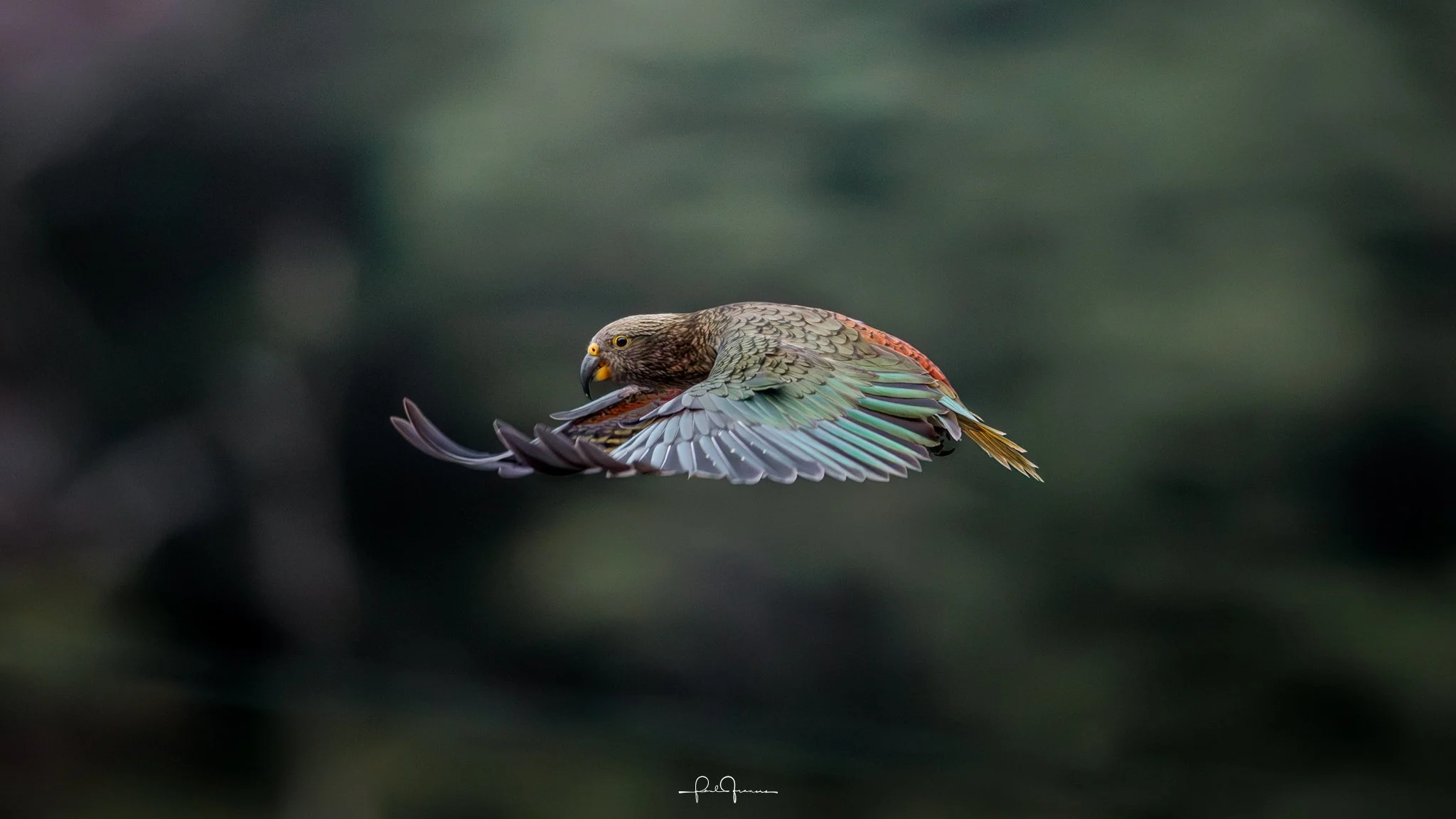 20260308-3931 x 2211-KEA 6.jpg