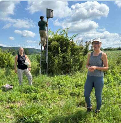 Fall Bird Walk with Deb DeSalvo