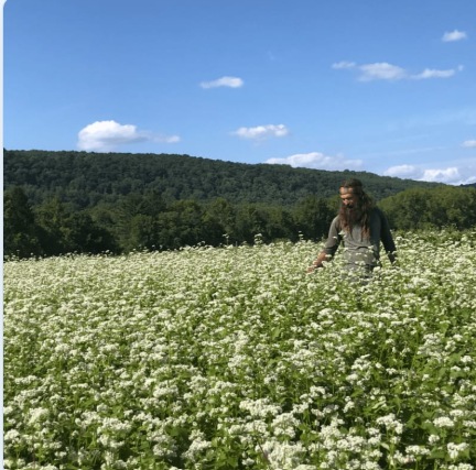 June Meditation with Kimberly Winters