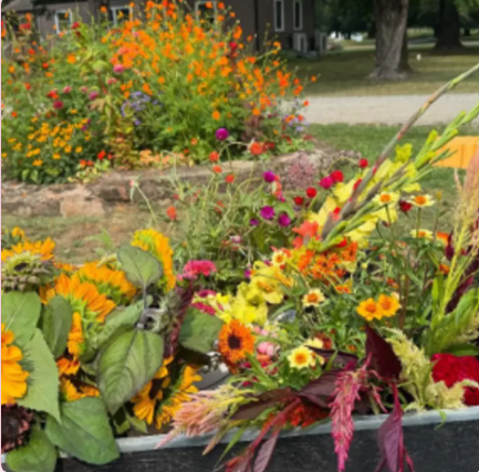 May Morning Meditation