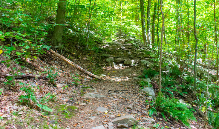 Friday Afternoon Hike with Audrey and Ethos Farm to Health